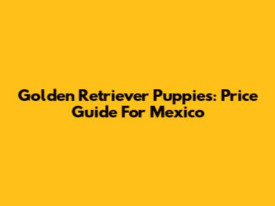 Golden Retriever Puppies: Price Guide For Mexico