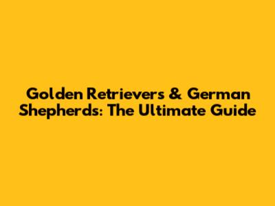 Golden Retrievers & German Shepherds: The Ultimate Guide