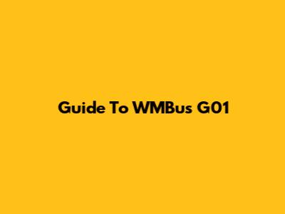 Guide To WMBus G01