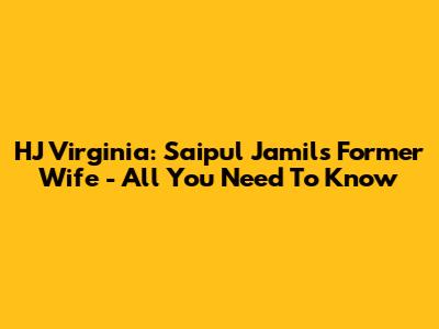 HJ Virginia: Saipul Jamil's Former Wife - All You Need To Know