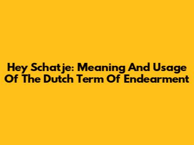 Hey Schatje: Meaning And Usage Of The Dutch Term Of Endearment