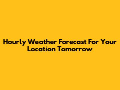 Hourly Weather Forecast For Your Location Tomorrow