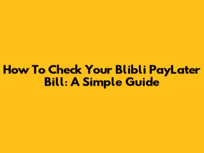 How To Check Your Blibli PayLater Bill: A Simple Guide