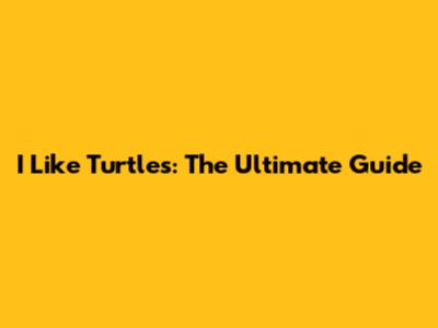 I Like Turtles: The Ultimate Guide