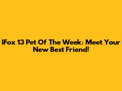 IFox 13 Pet Of The Week: Meet Your New Best Friend!