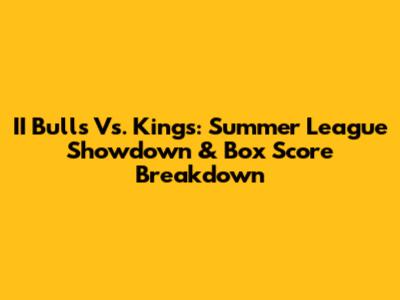 II Bulls Vs. Kings: Summer League Showdown & Box Score Breakdown