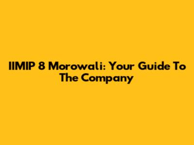 IIMIP 8 Morowali: Your Guide To The Company