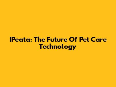 IPeata: The Future Of Pet Care Technology