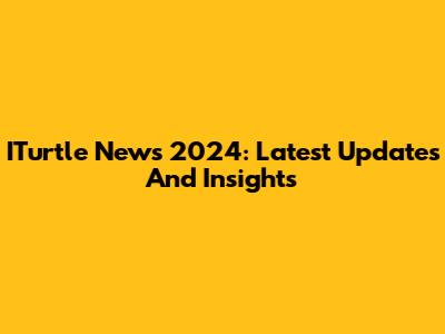 ITurtle News 2024: Latest Updates And Insights