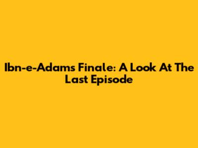Ibn-e-Adam's Finale: A Look At The Last Episode