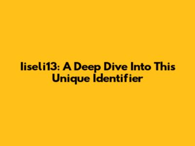 Iiseli13: A Deep Dive Into This Unique Identifier