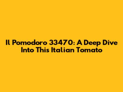 Il Pomodoro 33470: A Deep Dive Into This Italian Tomato