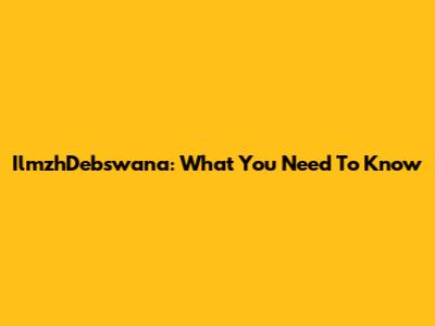 IlmzhDebswana: What You Need To Know