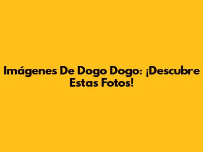 Imágenes De Dogo Dogo: ¡Descubre Estas Fotos!