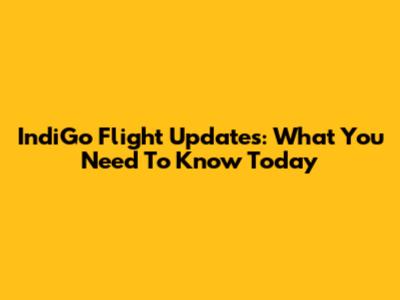IndiGo Flight Updates: What You Need To Know Today