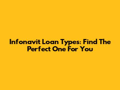 Infonavit Loan Types: Find The Perfect One For You