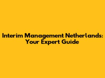 Interim Management Netherlands: Your Expert Guide