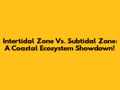 Intertidal Zone Vs. Subtidal Zone: A Coastal Ecosystem Showdown!