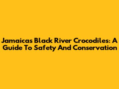 Jamaica's Black River Crocodiles: A Guide To Safety And Conservation