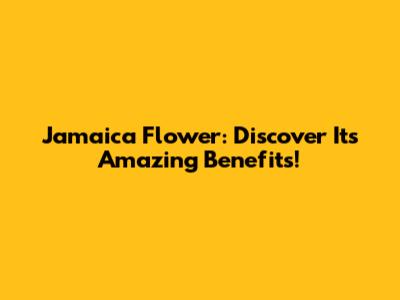 Jamaica Flower: Discover Its Amazing Benefits!
