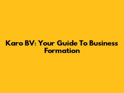 Karo BV: Your Guide To Business Formation