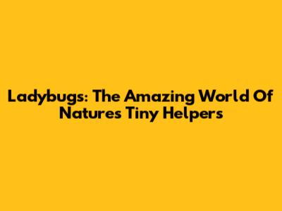 Ladybugs: The Amazing World Of Nature's Tiny Helpers
