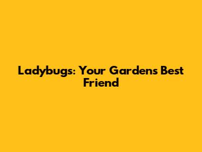 Ladybugs: Your Garden's Best Friend