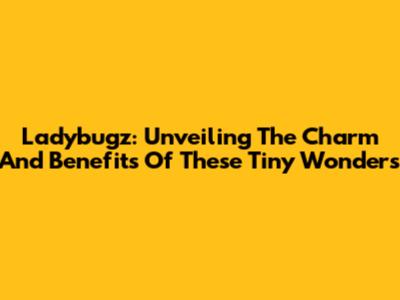 Ladybugz: Unveiling The Charm And Benefits Of These Tiny Wonders