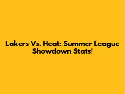 Lakers Vs. Heat: Summer League Showdown Stats!
