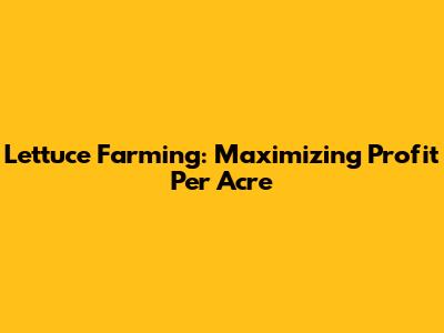 Lettuce Farming: Maximizing Profit Per Acre