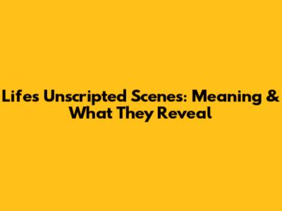 Life's Unscripted Scenes: Meaning & What They Reveal