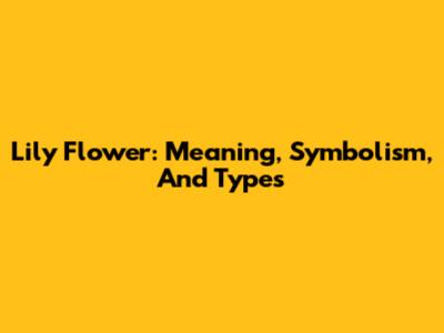 Lily Flower: Meaning, Symbolism, And Types