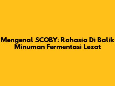 Mengenal SCOBY: Rahasia Di Balik Minuman Fermentasi Lezat