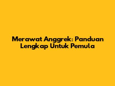 Merawat Anggrek: Panduan Lengkap Untuk Pemula