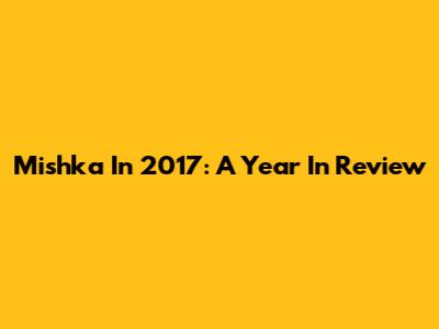 Mishka In 2017: A Year In Review