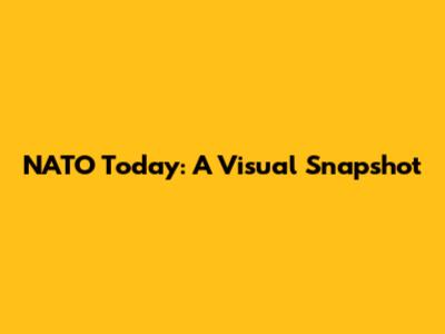 NATO Today: A Visual Snapshot