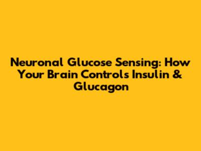 Neuronal Glucose Sensing: How Your Brain Controls Insulin & Glucagon