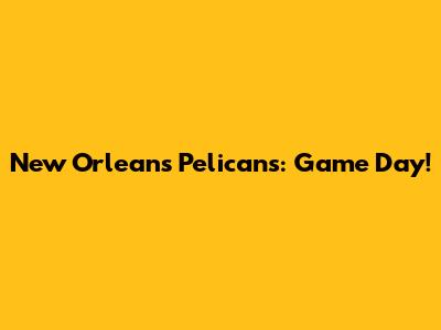 New Orleans Pelicans: Game Day!