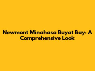 Newmont Minahasa Buyat Bay: A Comprehensive Look