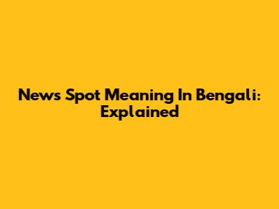 News Spot Meaning In Bengali: Explained