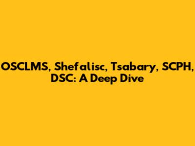 OSCLMS, Shefalisc, Tsabary, SCPH, DSC: A Deep Dive