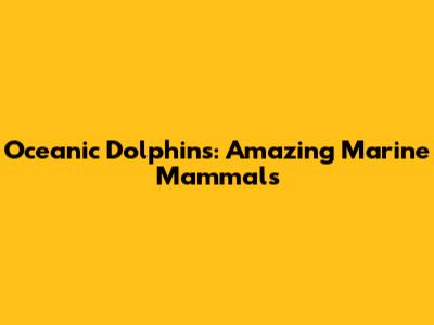 Oceanic Dolphins: Amazing Marine Mammals