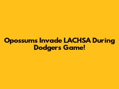 Opossums Invade LACHSA During Dodgers Game!