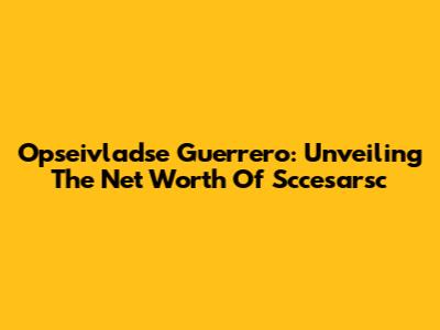 Opseivladse Guerrero: Unveiling The Net Worth Of Sccesarsc