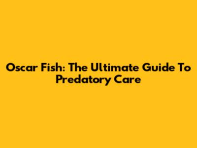 Oscar Fish: The Ultimate Guide To Predatory Care