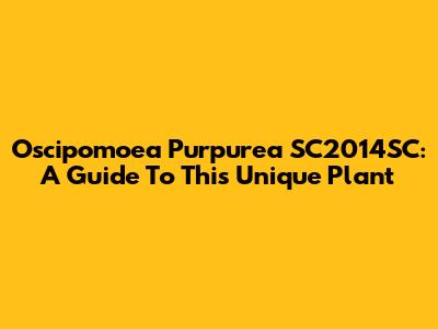 Oscipomoea Purpurea SC2014SC: A Guide To This Unique Plant