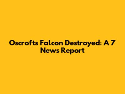Oscroft's Falcon Destroyed: A 7 News Report