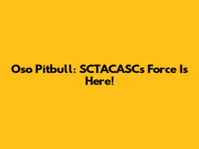 Oso Pitbull: SCTACASC's Force Is Here!