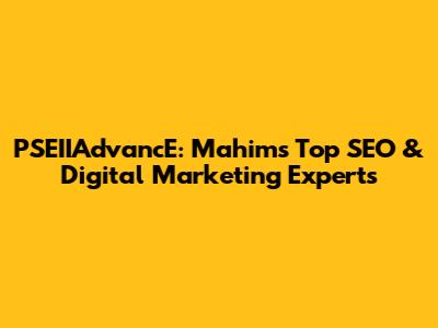 PSEIIAdvancE: Mahim's Top SEO & Digital Marketing Experts