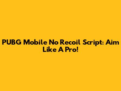 PUBG Mobile No Recoil Script: Aim Like A Pro!